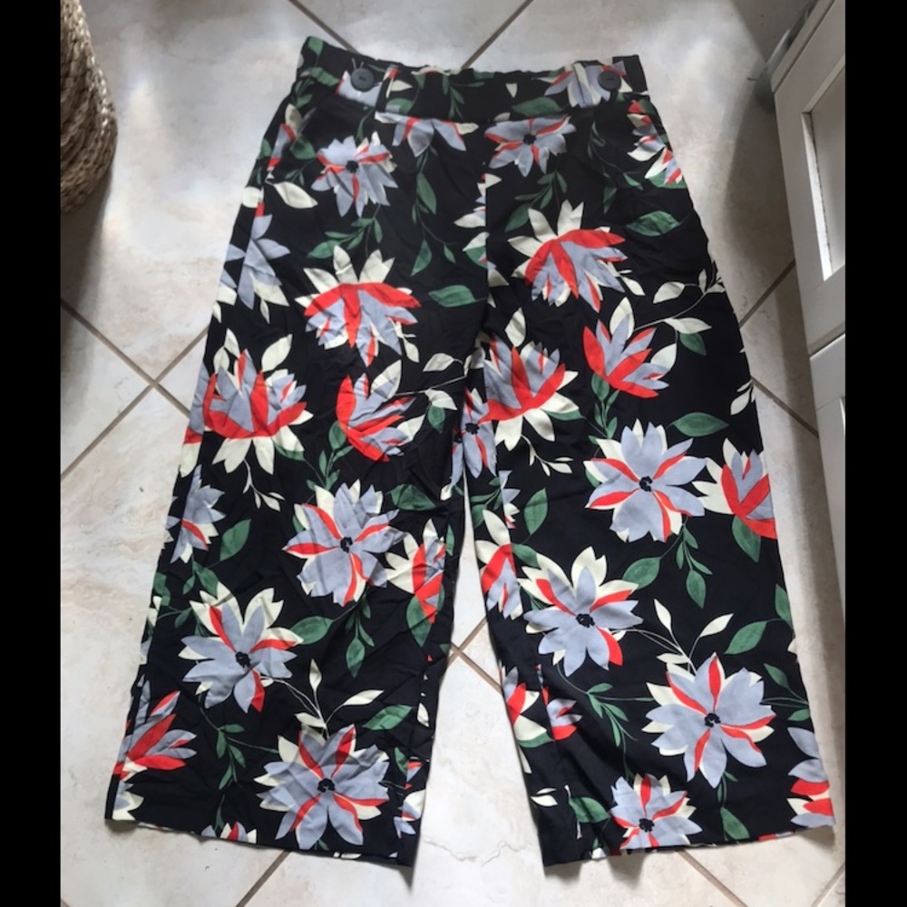 Zara pants